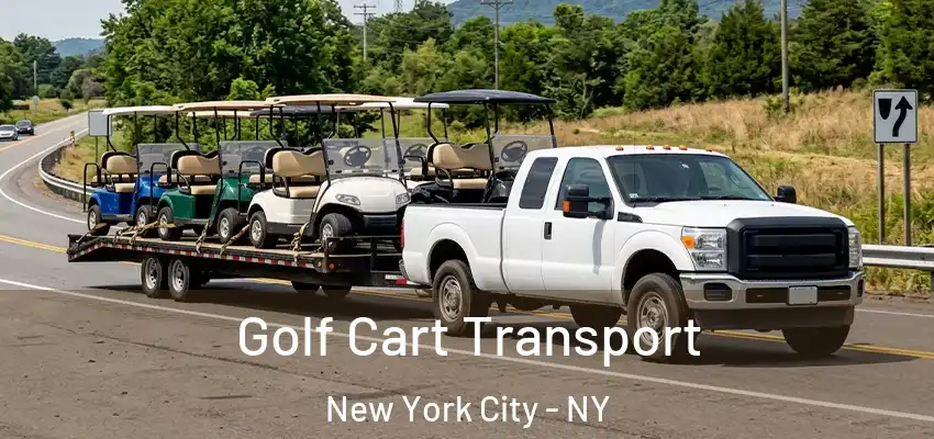 Golf Cart Transport New York City - NY